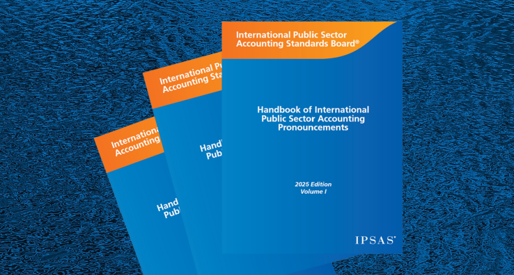 2025 IPSASB Handbook