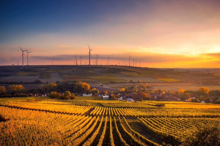 windfarm