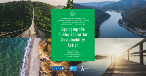 Equipping the Public Sector for Sustainability Action