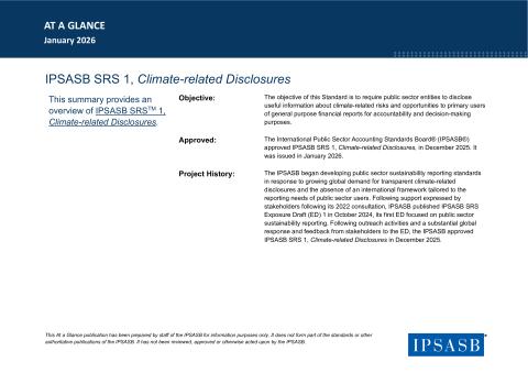 IPSASB-SRS-1-AAG.pdf