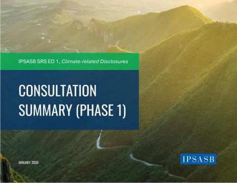 IPSASB-SRS-ED1-Consulatation-summary.pdf